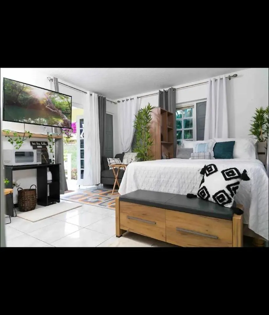 Quaint Sleep Apartment At Mystic Ridge Ocho Rios